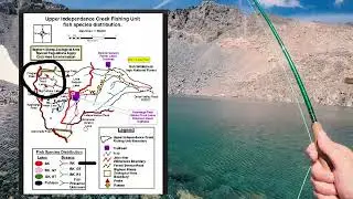 Golden Trout Lakes | Eastern Sierra Back Country Fishing Guide | (Fish + Log) E11