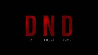 Rey x Amuly x RAVA - DND (Visualizer)