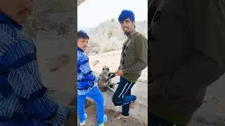 #comedy