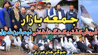 دست لاف اول صبح|فروش یک100.000هزار افغانی|جمعه بازار|اشتراک صدها شوقی از سراسر افغانستان،قندهار،مزار