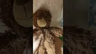 ZOO CRISSIS