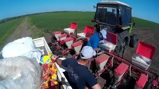 МТЗ 82.1 , посев Подсолнечника 2018