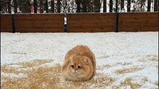 Я была права.......