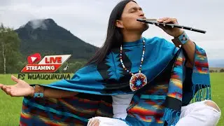 Live Performance 