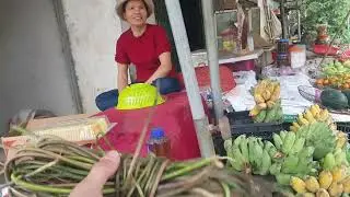 Cô bán hàng đồng bào Thái thật thà chia sẽ bài thuốc và vịt cổ lũng