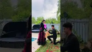Proposal - content creation