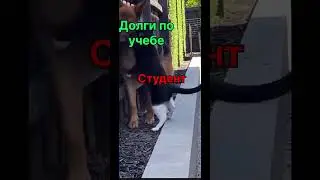 #теормех и #сопромат  научу решать. Сессия без долгов. Пиши в ТГ @Sopromeh