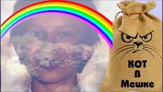 Кот в мешке или год без радуги. Спец выпуск. Расследование Ч4