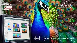 Graphics Design Can Make you rich: Learning by Observations