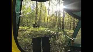 2000км. на 