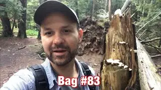 Forest Reserve at Smallwood NY 9/3/20| Hiking, Mycology and Picking up Trash