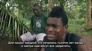 Лечение кодеиновой зависимости, Ибогаином. Ибога спасает жизнь