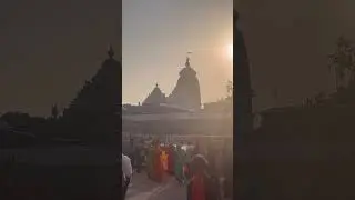 Jai Jagannatha🙏🙏.#ytshorts #jaijagannath #rathyatra #puri