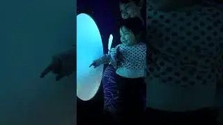 Inmersión en el Golfo San Jorge - Comodoro Rivadavia.