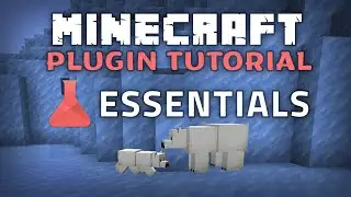 Essentials Plugin Minecraft 1.21.1 Guide