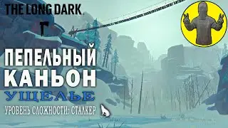 Пепельный каньон. The Long Dark. Прохождение. Выживание