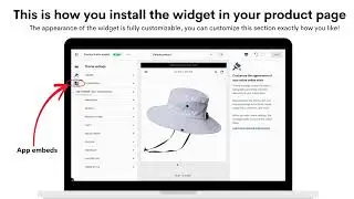 This is how you install the widget in your product page (VINTAGE)