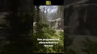 Вполне похоже на правду!