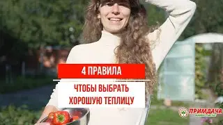 Как выбрать теплицу? | 4 правила при выборе теплицы