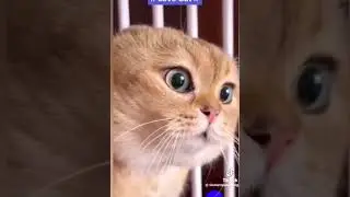 Что случилось??????????????😀😀😀😀😀
