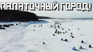 ОГРОМНАЯ толпа ПРИШЛА на ЛЕЩА?! Или СУДАКА? Последний лёд 2022