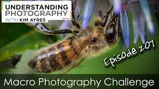 Macro Photo Challenge - Episode 207 of Understanding Photography with Kim Ayres