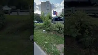 Кролик-потеряшка
