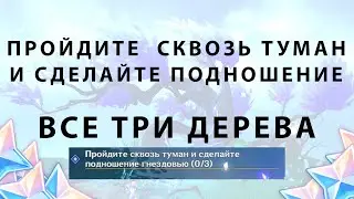 Пройдите сквозь туман и сделайте подношение гнездовью, Все три дерева| Genshin Impact