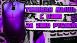 ТОПОВАЯ ИГРОВАЯ МЫШЬ С МАРКЕТПЛЕЙСА OZON ЗА 2000 РУБЛЕЙ НА PAW3395! ОБЗОР ATK X1!