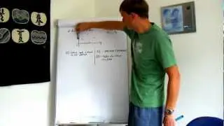 Das Sweep-Verfahren der algorithmischen Geometrie