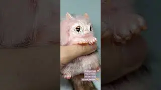 Покорительница сердец😍 Кошечка ручной работы в смешанной технике.