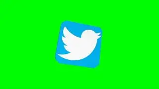 #6 Twitter icon Green Sceen | Motion Animation Graphics