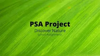 Discover Nature PSA: School Assignments