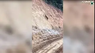 Ну Ты Олень