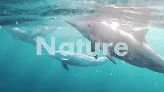 This World Environment Day we reaffirm our commitment to care for mother nature