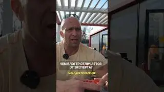 Чем блогер отличается от эксперта? | Александр Федоров