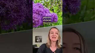 Comment créer un massif fleuri ?