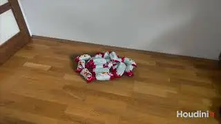 Houdini cgi