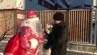 День рождения Деда Мороза в МАДОУ д/с №160 г.Тюмень 18.11.2022