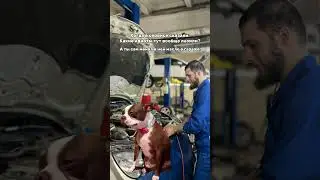 Наши сервисы всегда открыты для вас!