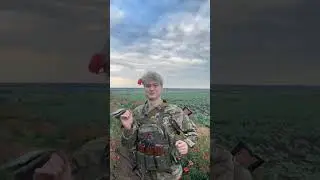 #nekoglai