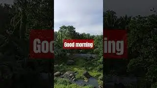 Good morning 🥰