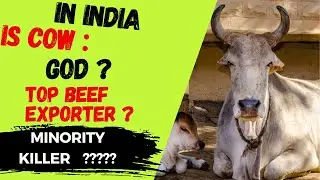 Status of COWs and Minorities In INDIA | Is Cow GOD or Top Business Model Minority Attacking Element