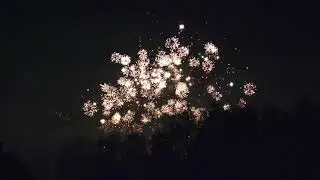 Happy new year 2020