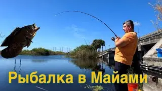 РЫБА сама в ШОКЕ! У Юры всегда КЛЁВО. МАЙАМИ. Заповедник Эверглейдс. #жизньвсша #рыбалка #майами