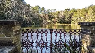 See Jacksonville Arboretum & Botanical Gardens, a top attraction in the city of Jacksonville!
