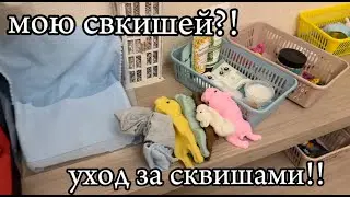 СКВИШ СОБАЧКИ|Мою сквишей!