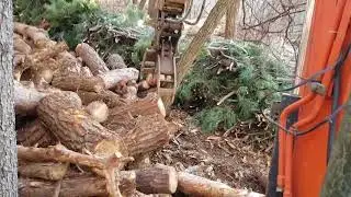 scrap grapple : min size,  3 ton excavator for log management