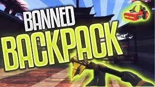 TF2  Expensive VAC Banned Backpack [$3000+]