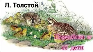 Поучительный рассказ